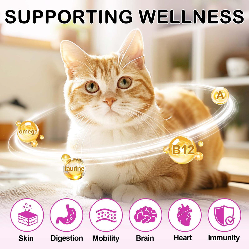 FANSHI prebiotics graphic, promotes healthy gut and balance in cats.