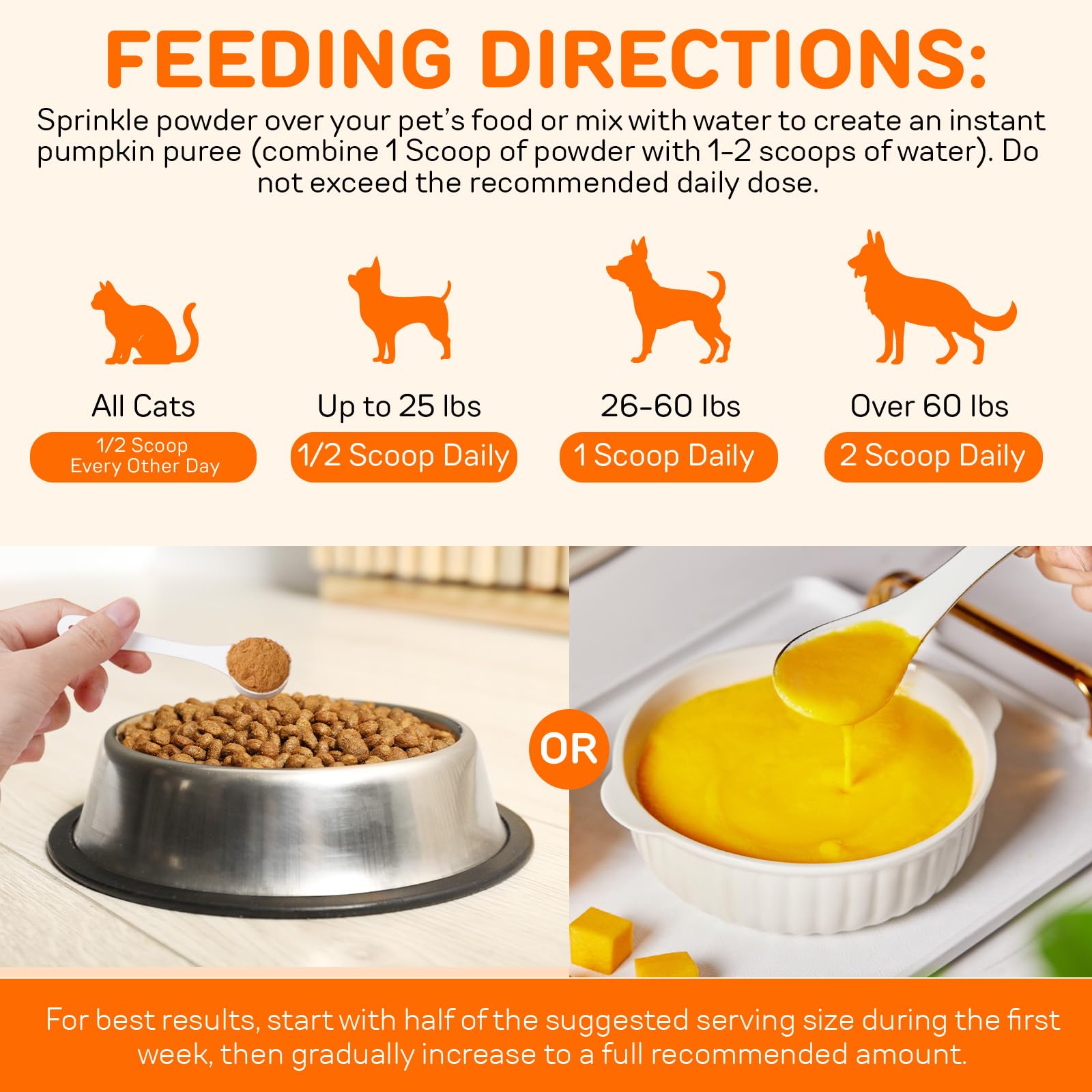 FANSHI Pumpkin Powder being mixed with water creates a fresh puree for easy serving.