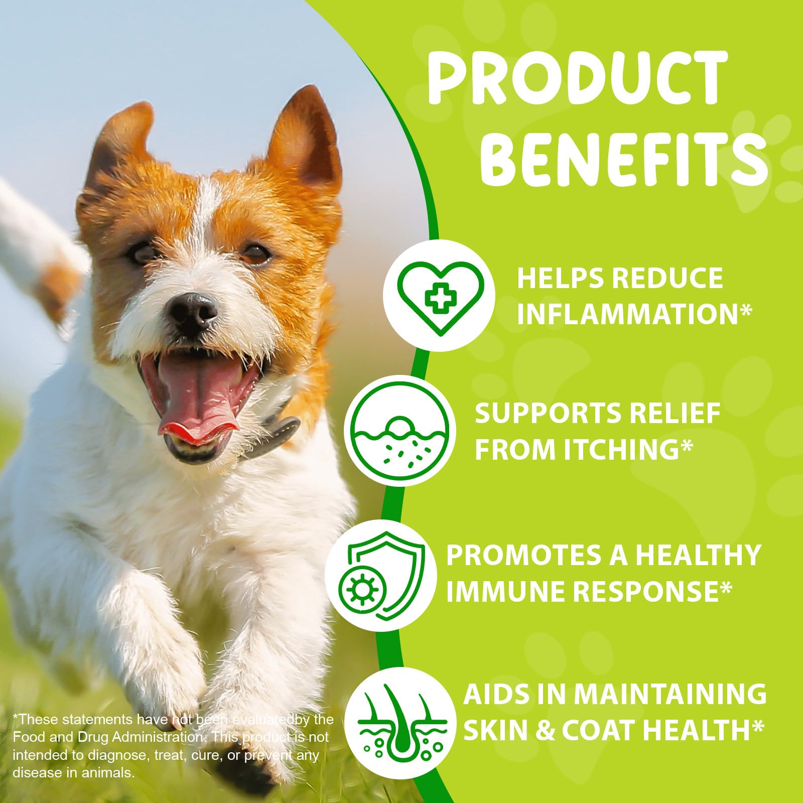 FANSHI Yeast Infection Dog bacon-flavor supplement highlighted for easy daily dosing.