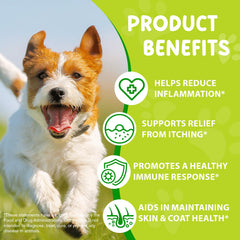 FANSHI Yeast Infection Dog bacon-flavor supplement highlighted for easy daily dosing.
