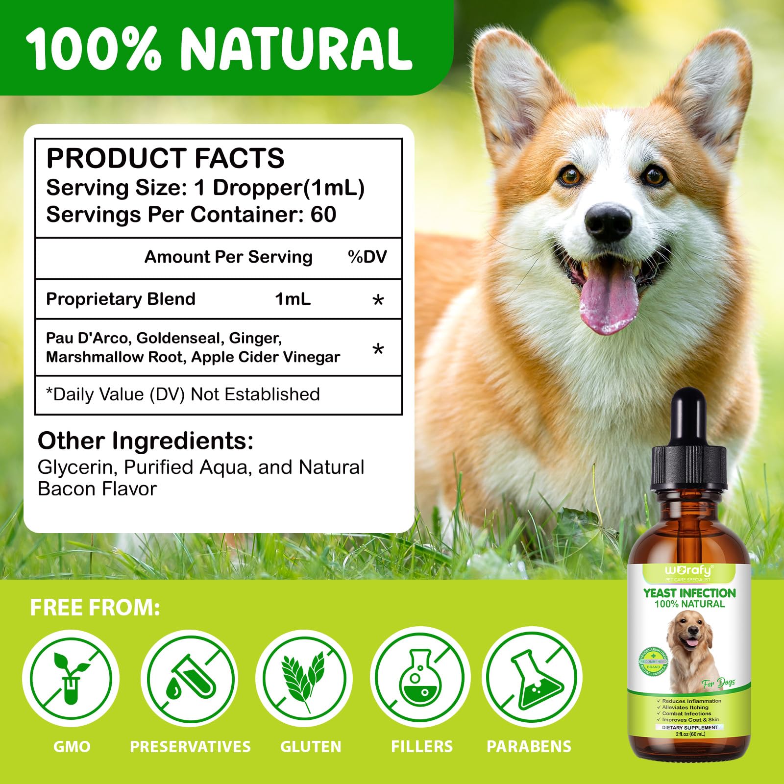 FANSHI Yeast Infection Dog immune-support herbal blend promotes balanced wellness.