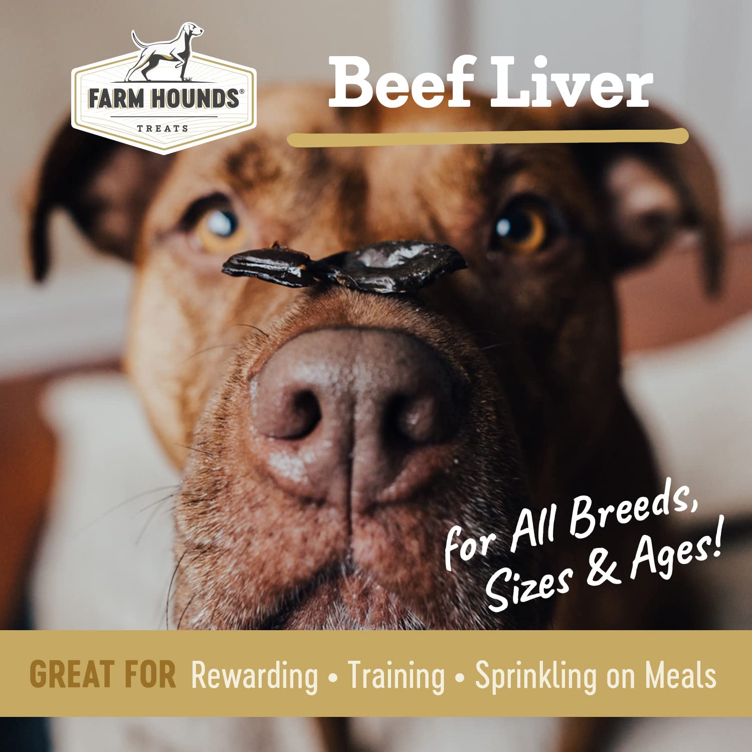 Farm Hounds beef liver jerky closeup—dehydrated texture ideal for training rewards