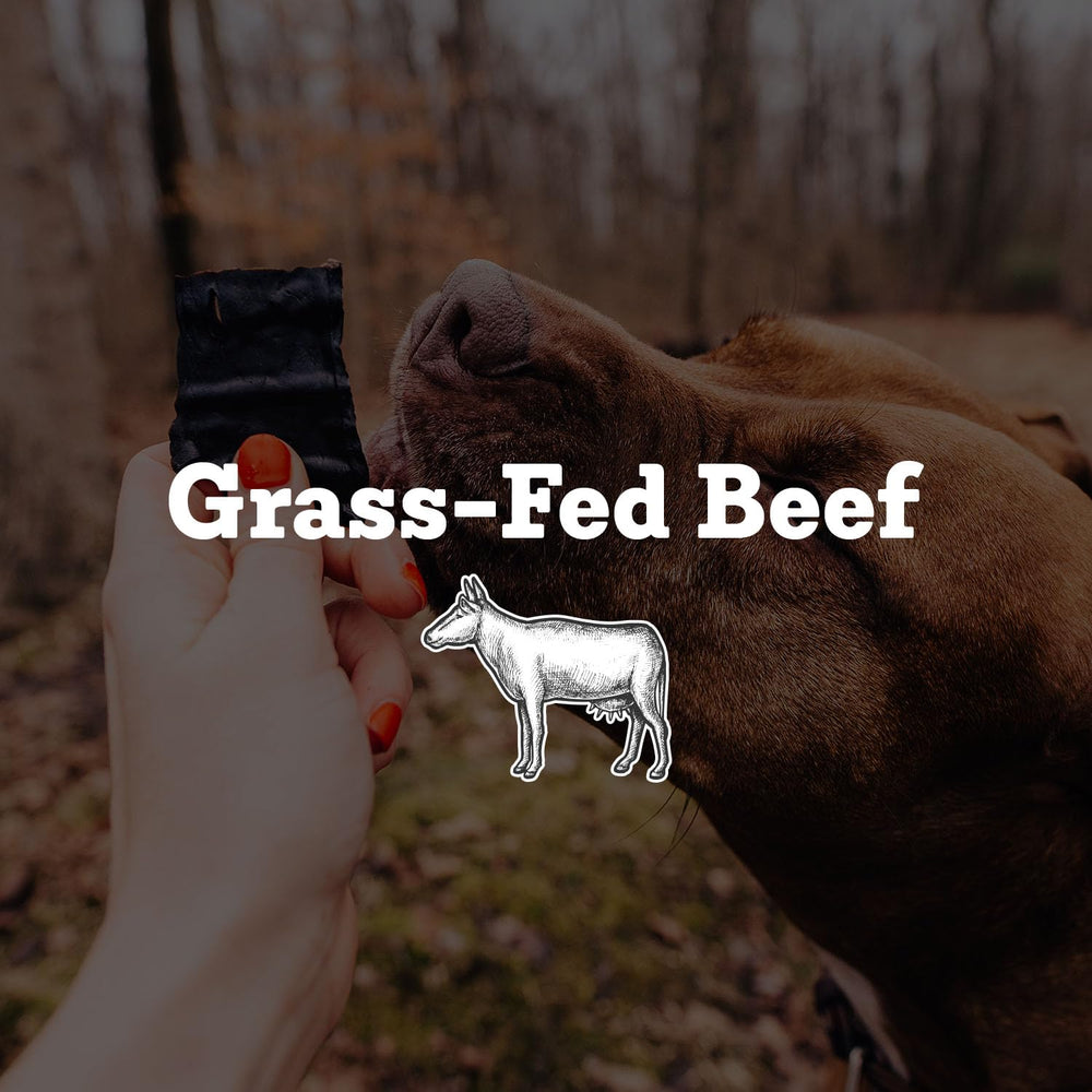 Farm Hounds Beef Trainers bite-sized closeup highlighting natural meat texture and no fillers