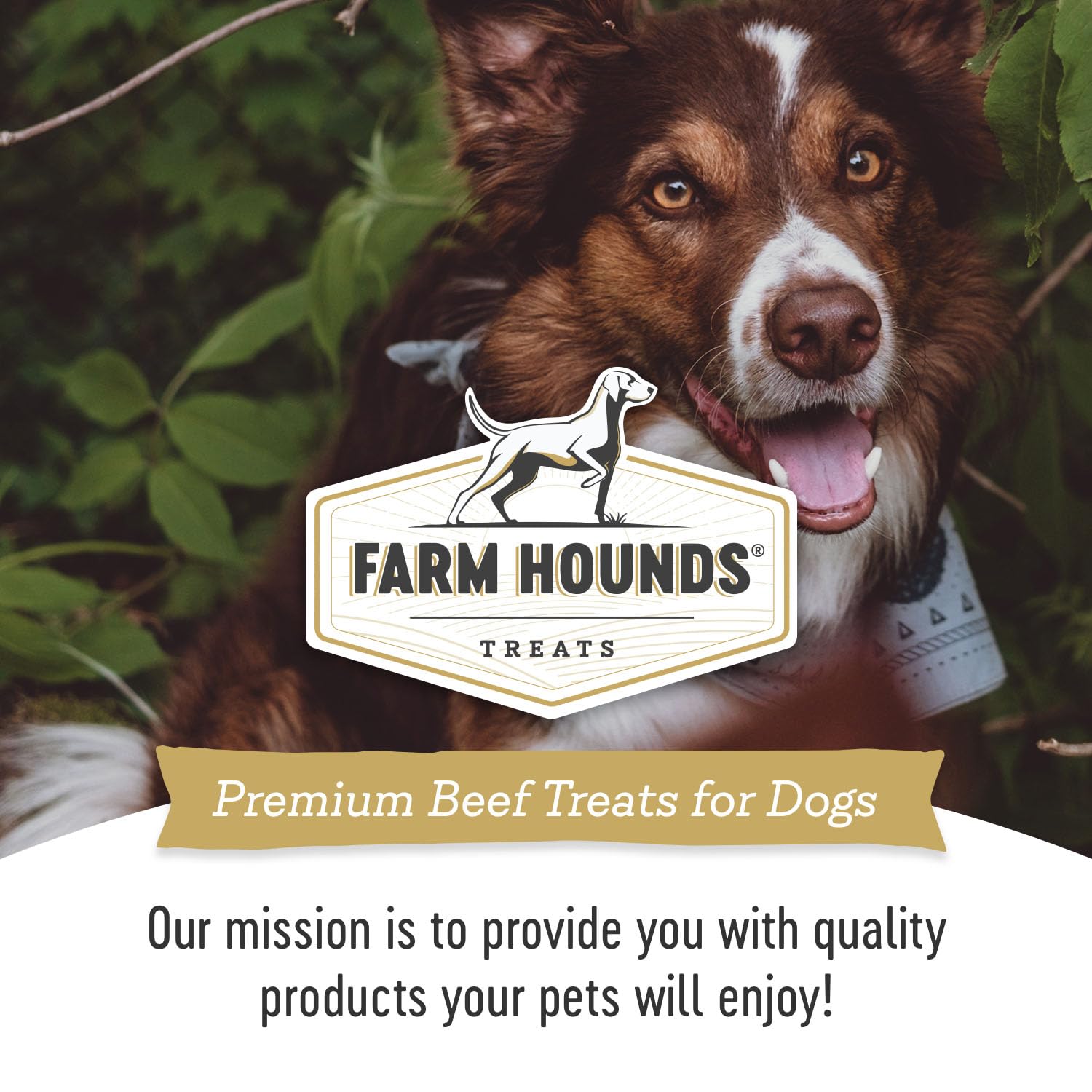 Farm Hounds Beef Trainers training reward image for all dogs and training sessions