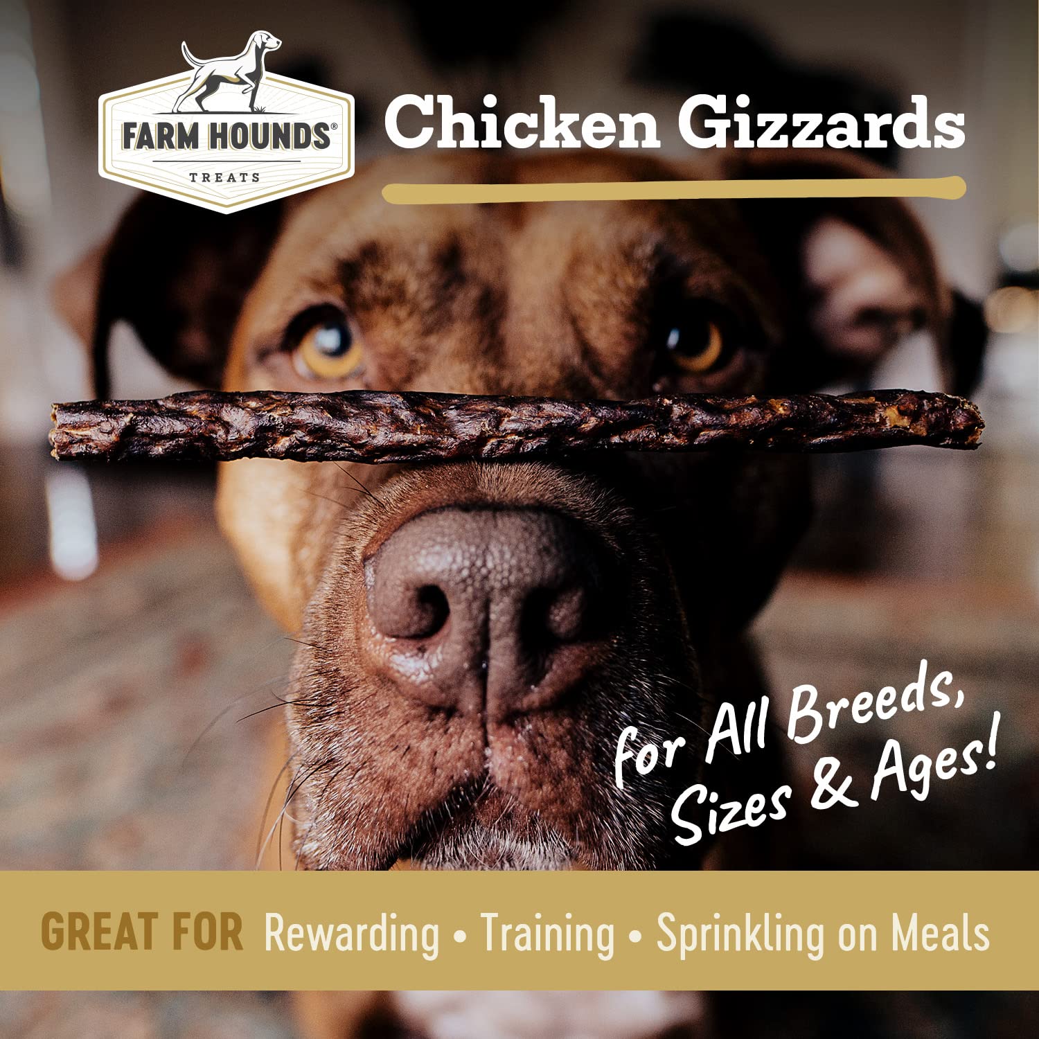 Farm Hounds chicken gizzards pack side view showing convenient 4 oz size.