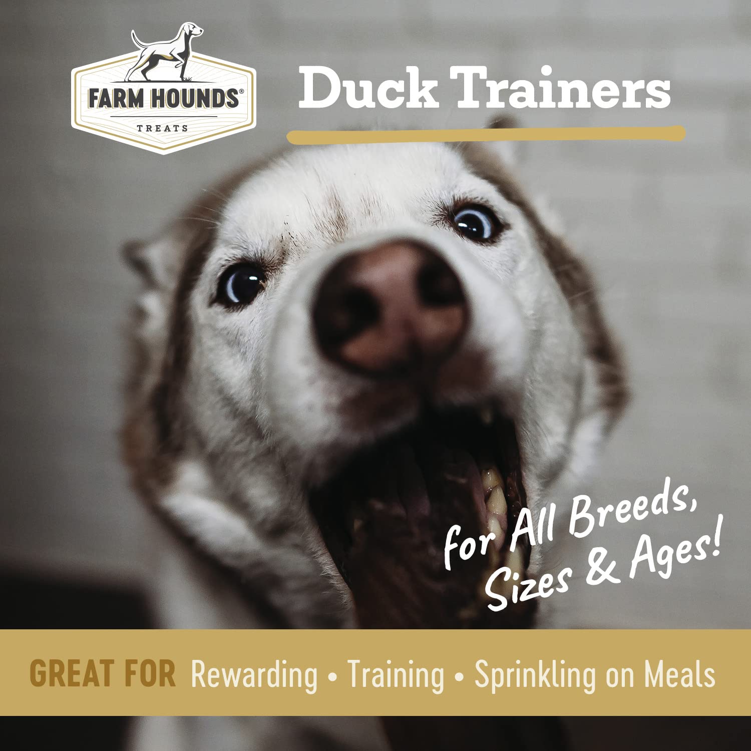Farm Hounds duck trainers bite-size treats, perfect for training sessions and rewards.