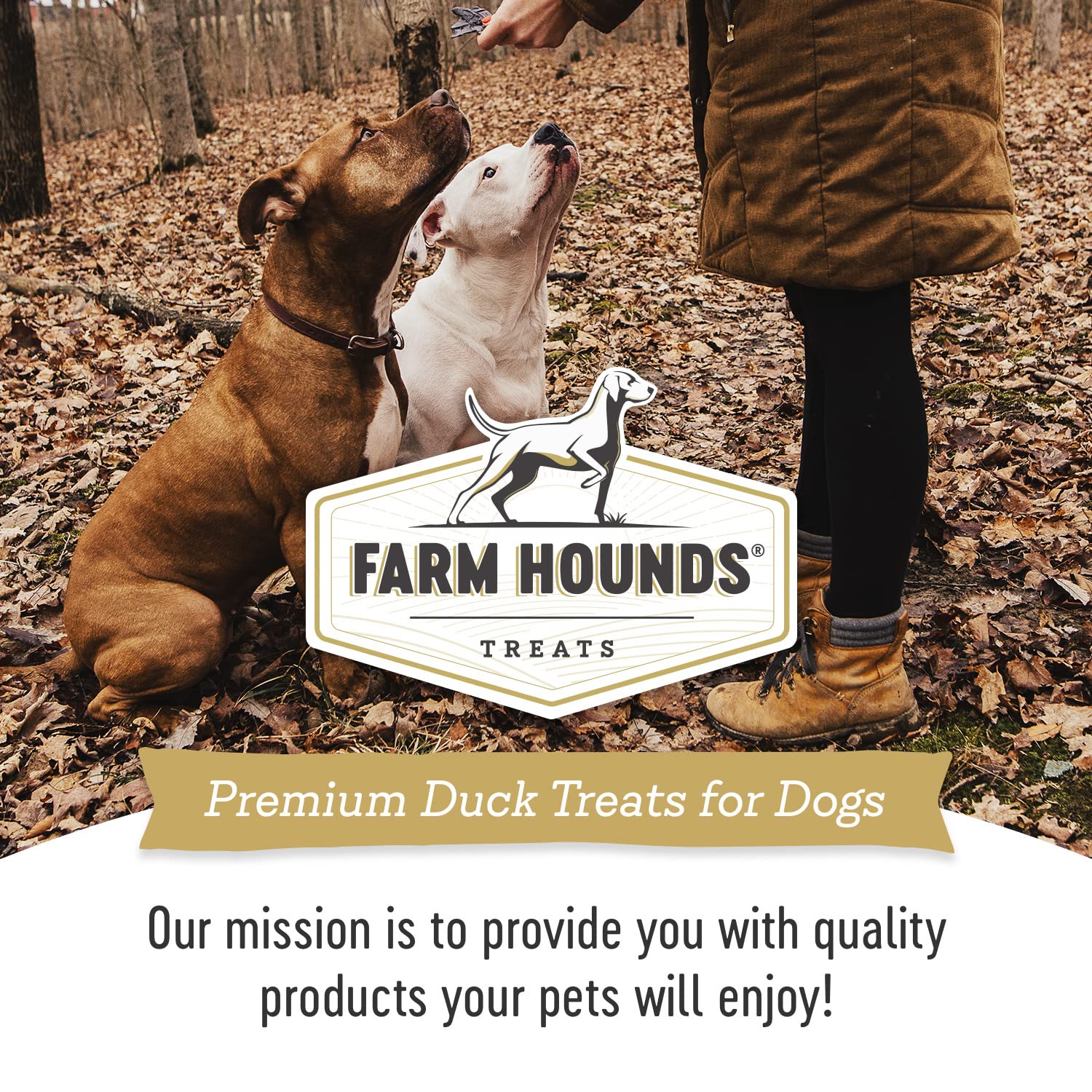 Farm Hounds Duck Trainers training-use image, ideal as rewards during practice.