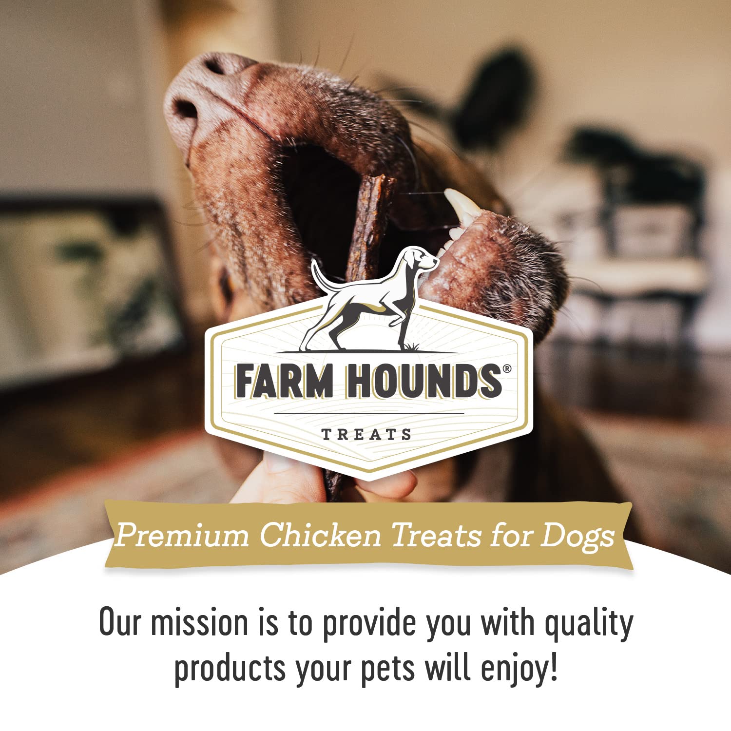 Farm Hounds pasture-raised chicken image representing ethical sourcing and quality ingredients.