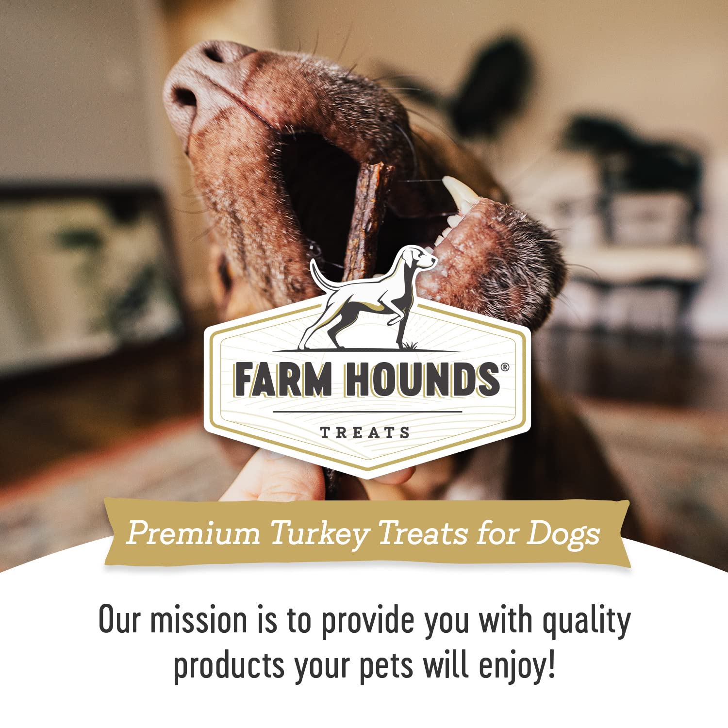 Farm Hounds turkey gizzards no-fillers, salt-free and simple ingredients.