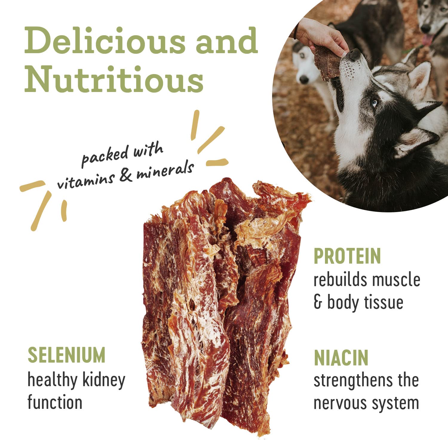 Farm Hounds Turkey Jerky dog-enjoyment moment showcases natural scent and chewy texture.