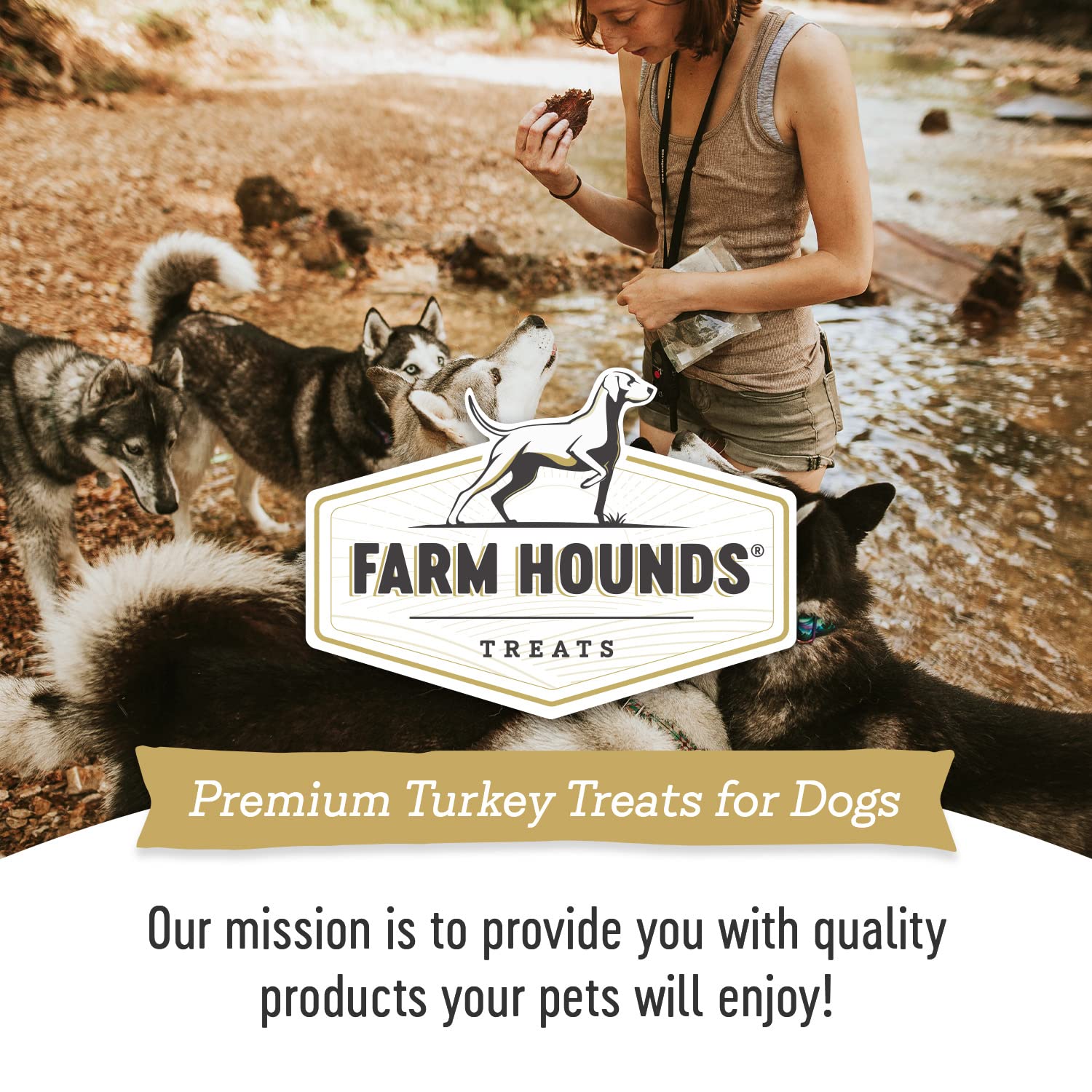 Farm Hounds turkey jerky product shot with dog enjoying treat during play