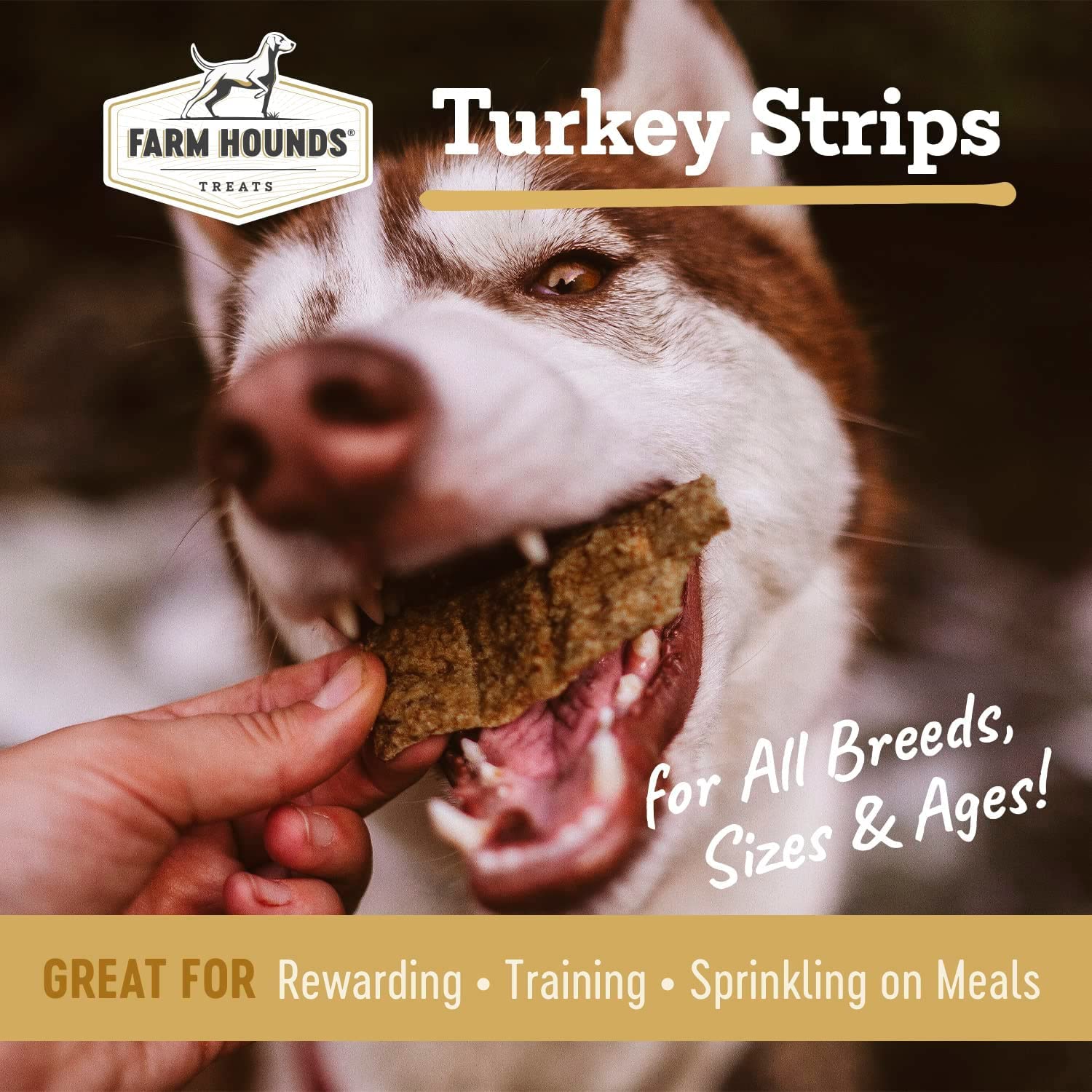 Farm Hounds Turkey Strips break-to-size pieces ideal for training rewards during sessions