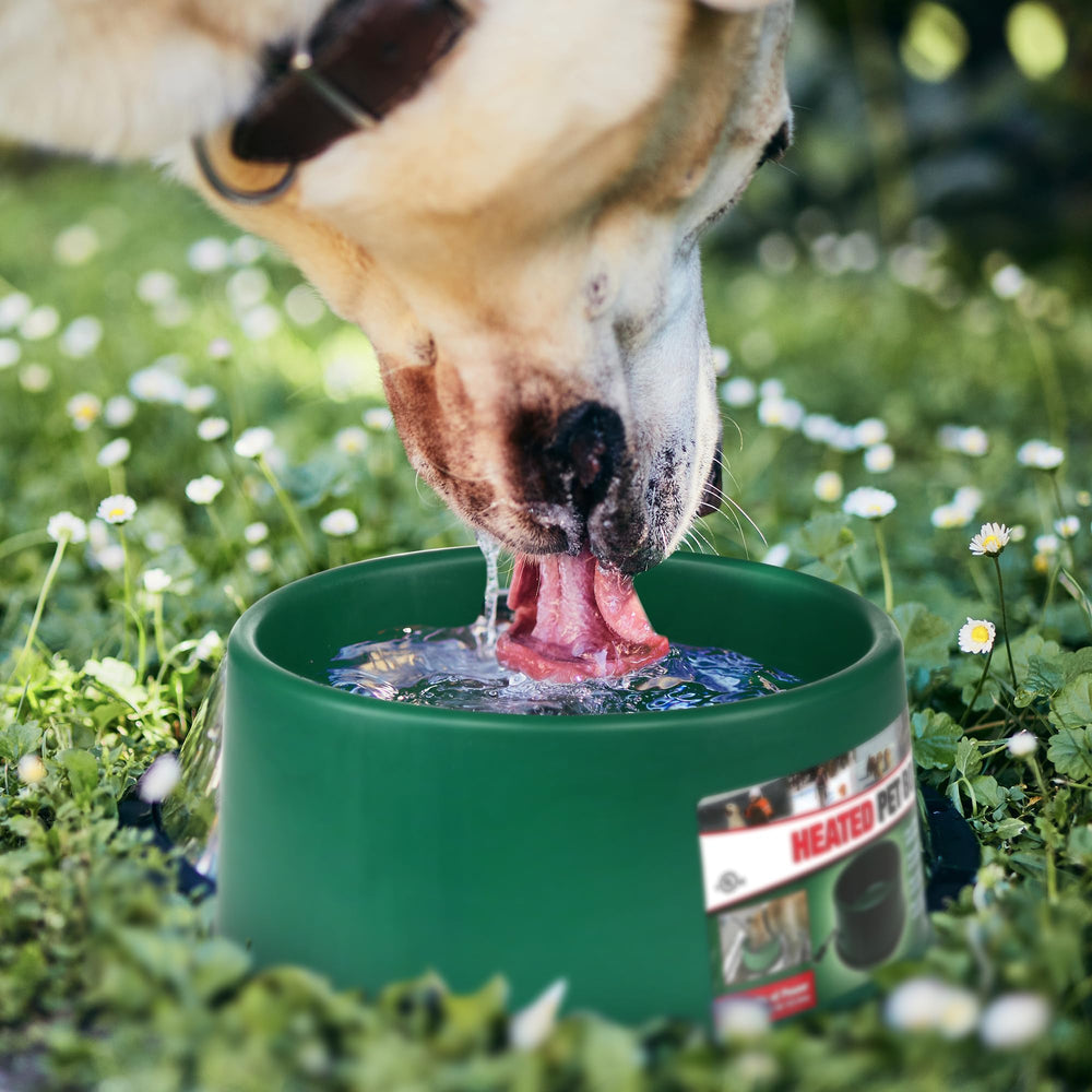 Farm Innovators bowl used outdoors by dogs and cats during winter routines.