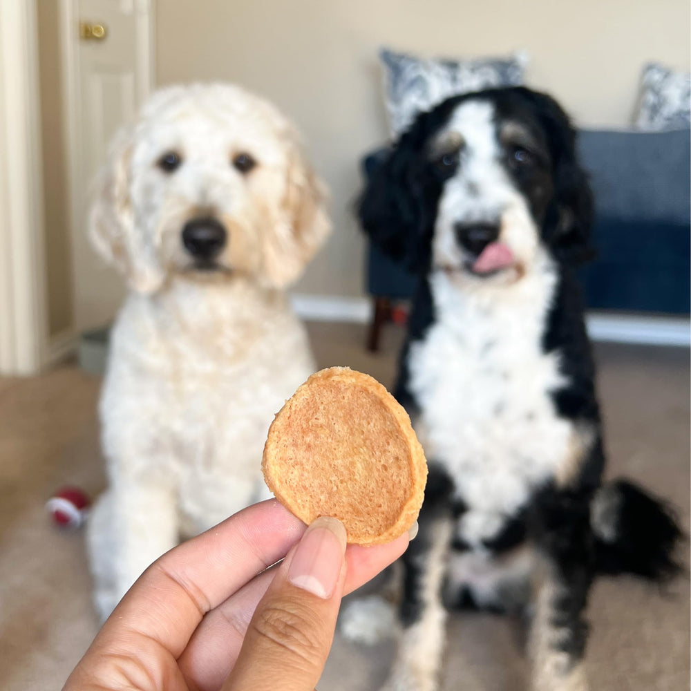 Farm To Pet all-breeds chicken chips deliver a crunchy snack