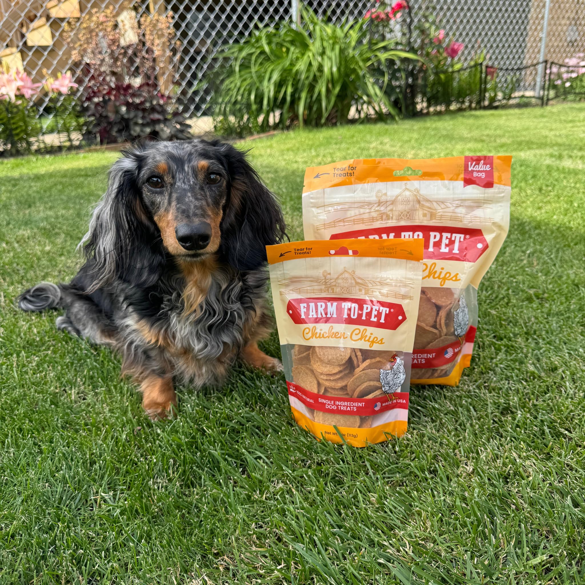 Farm To Pet chicken chips suitable for puppies and dogs during training