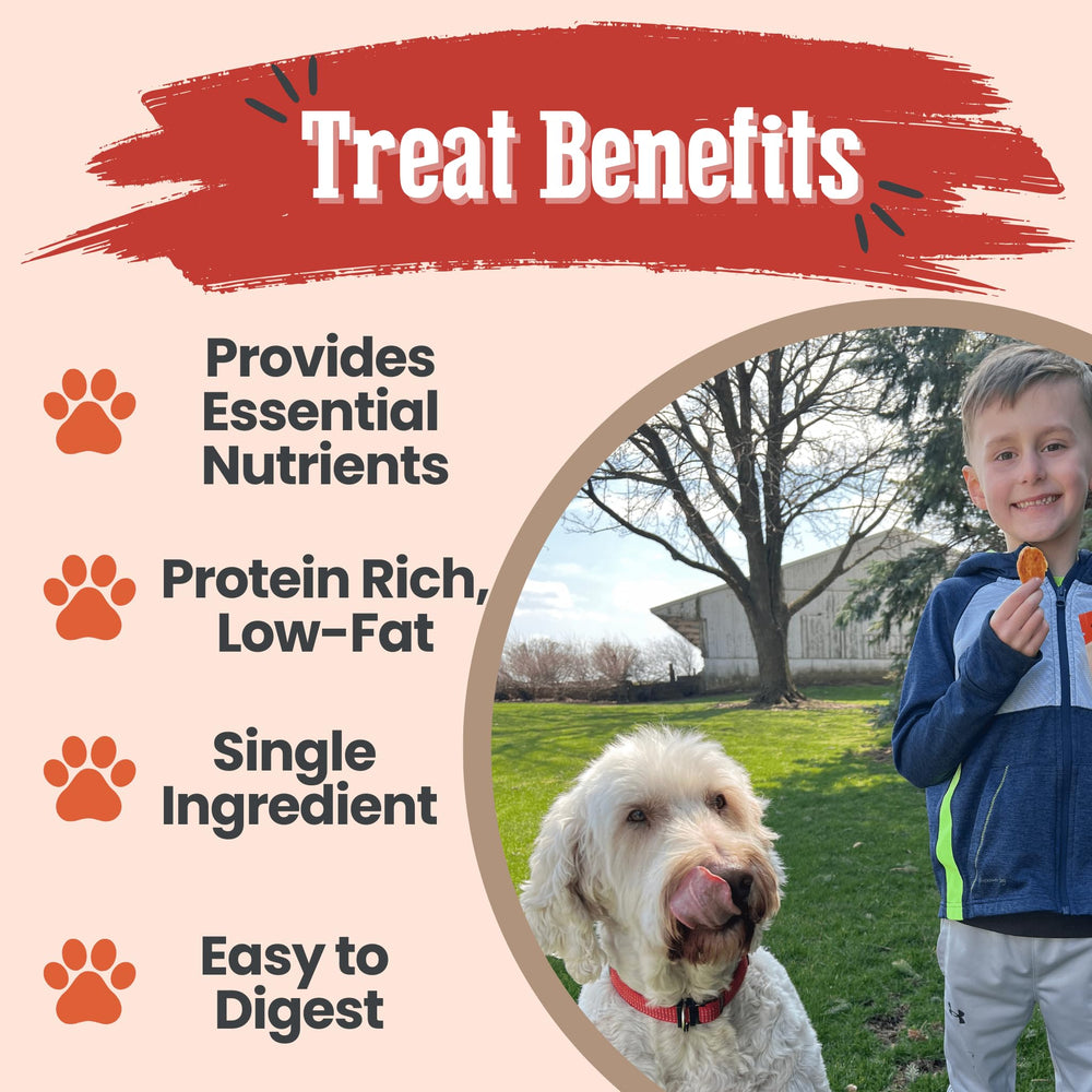Farm To Pet dog enjoying treats during training session