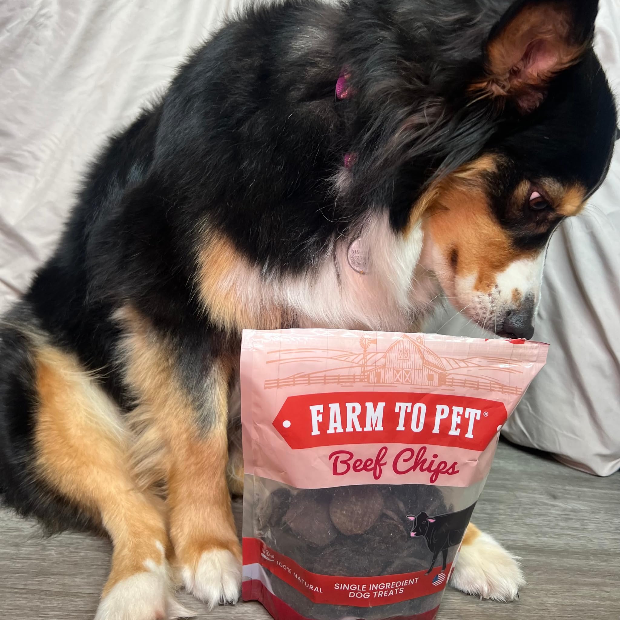 Farm To Pet high-protein, low-calorie beef chips for all dog sizes.