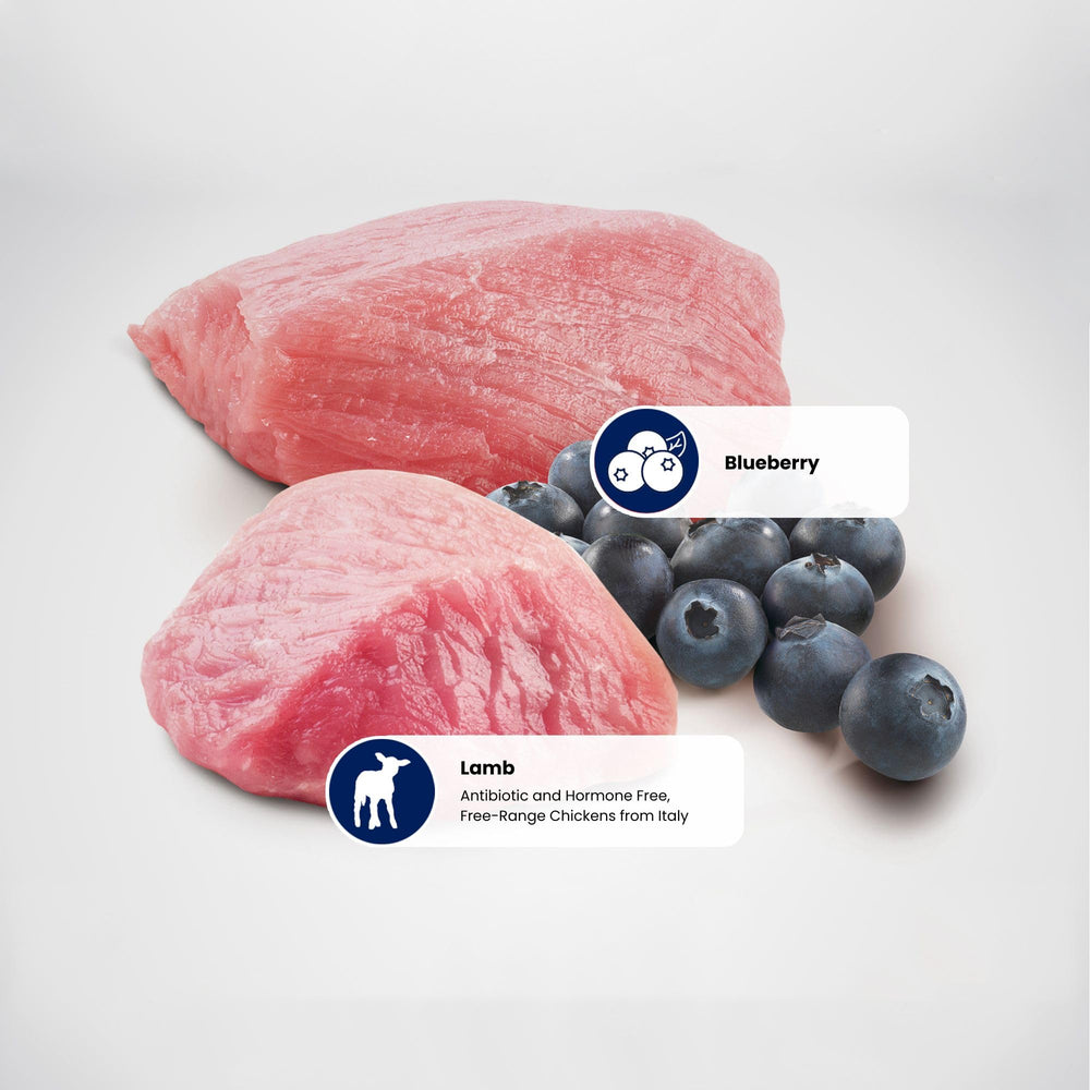 Natural antioxidants help preserve freshness in Farmina Lamb and Blueberry.