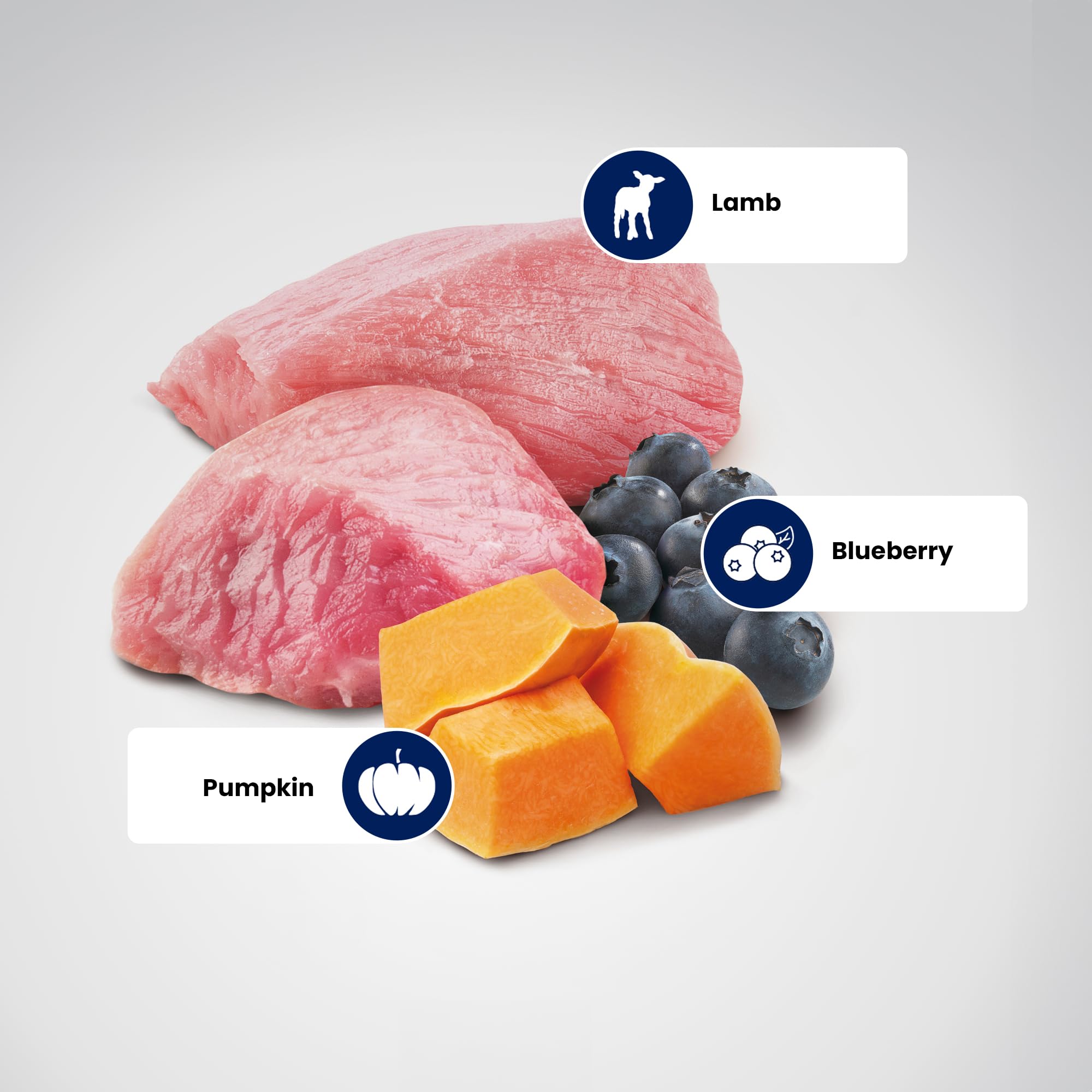 Farmina N&D puppy mealtime shot emphasizing glossy kibble and inviting aroma.