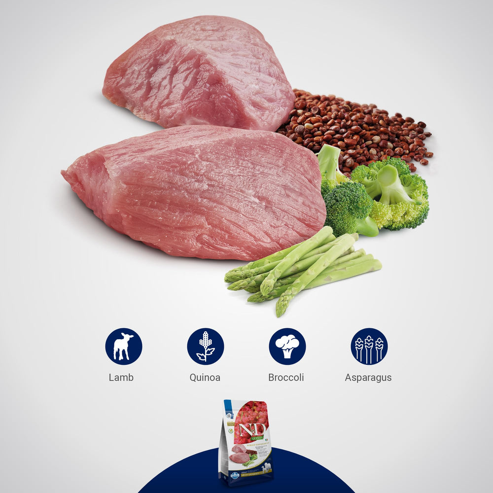 Packaging image of Farmina Quinoa Weight Management Lamb premium dog food.