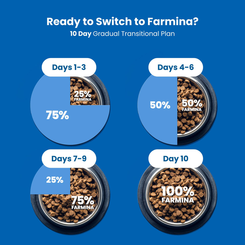 Puppy feeding counter setup with Farmina kibble ready for daily meals.