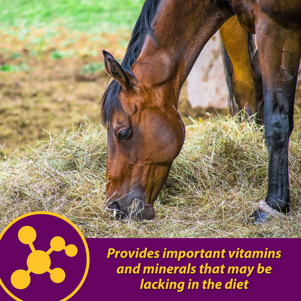 Farnam Red Cell with horse eating feed supports overall health.
