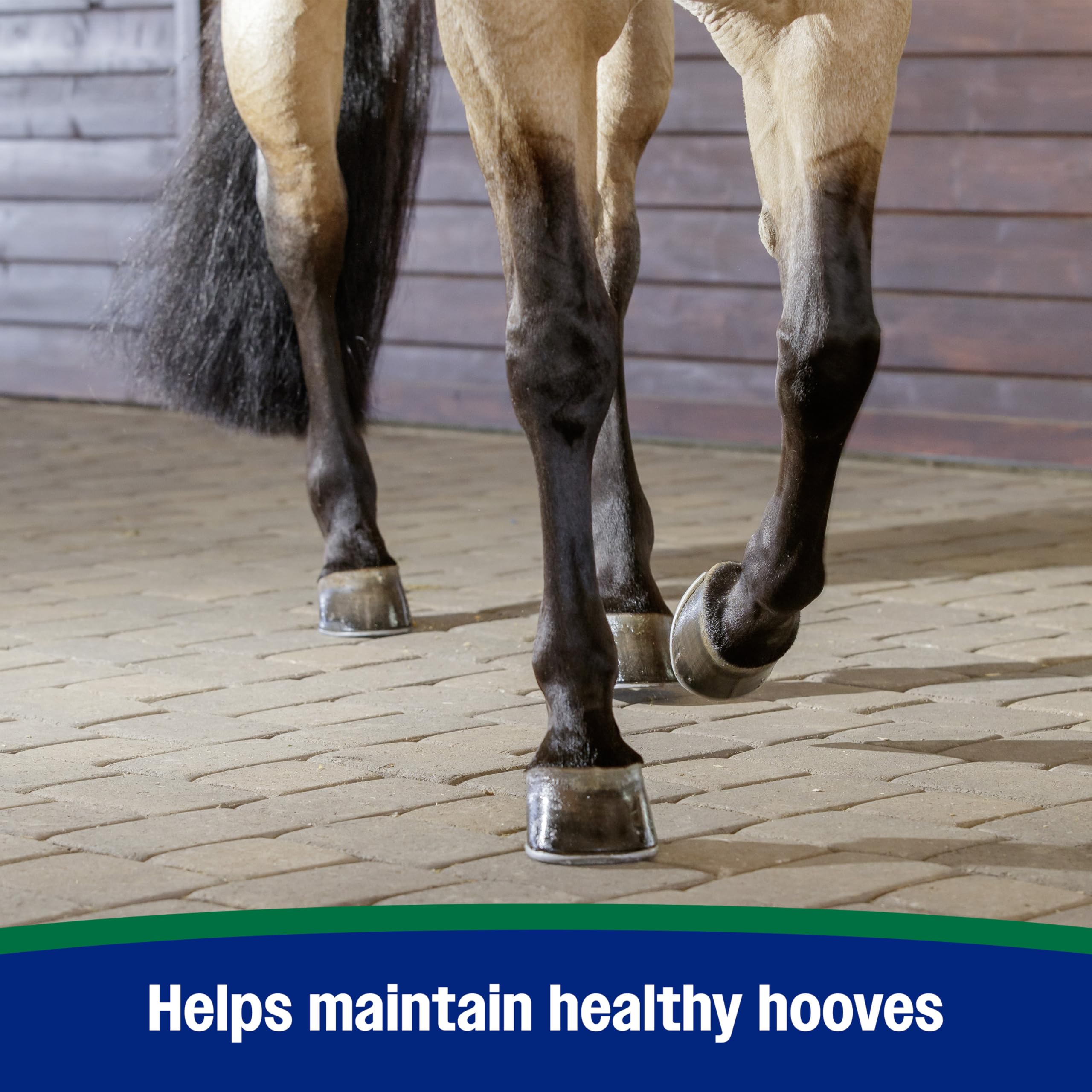 Farnam Horseshoer’s Secret biotin lysine methionine blend provides essential hoof nutrients.