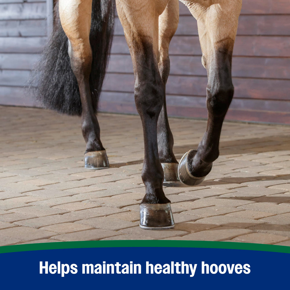 Farnam Horseshoer’s Secret biotin lysine methionine blend provides essential hoof nutrients.