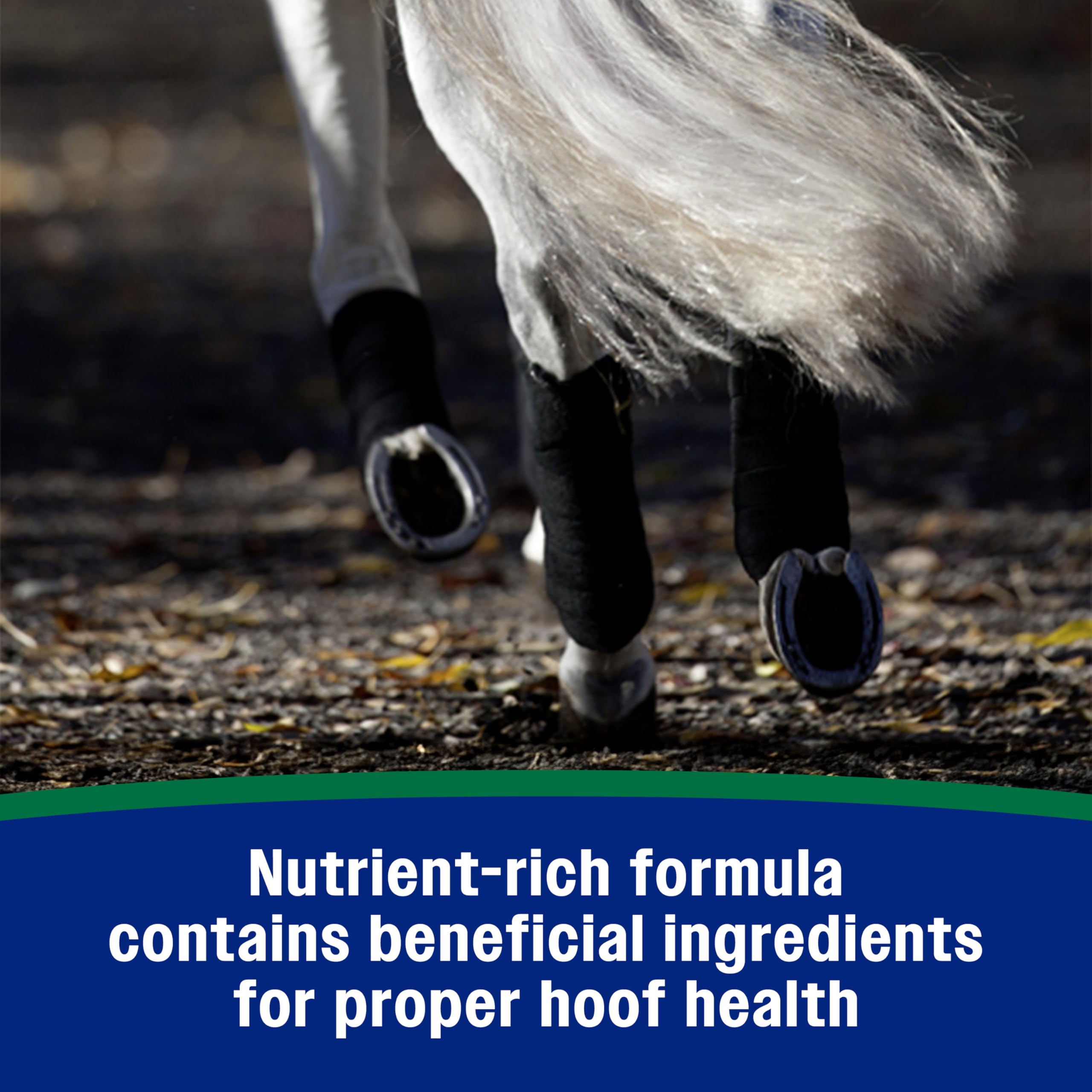 Farnam Horseshoer’s Secret includes copper zinc and minerals for comprehensive hoof health.