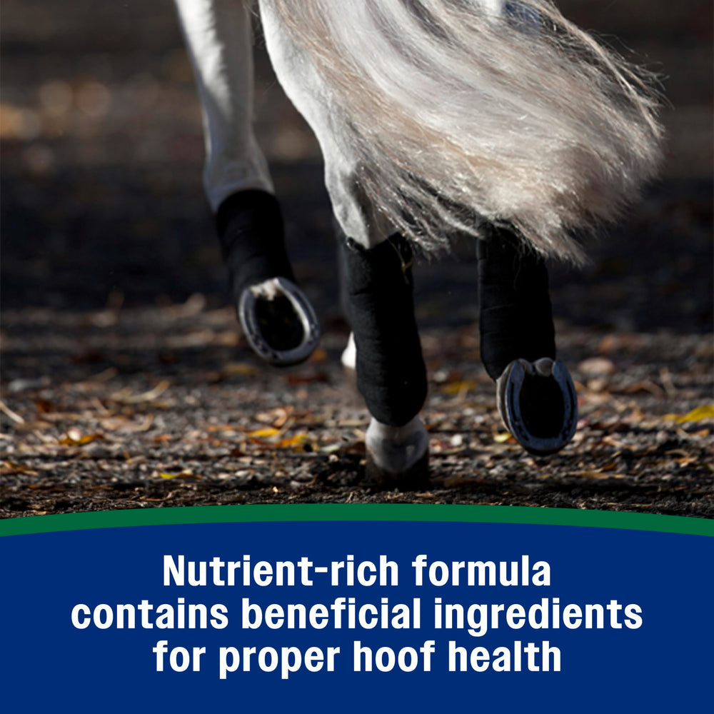 Farnam Horseshoer’s Secret includes copper zinc and minerals for comprehensive hoof health.