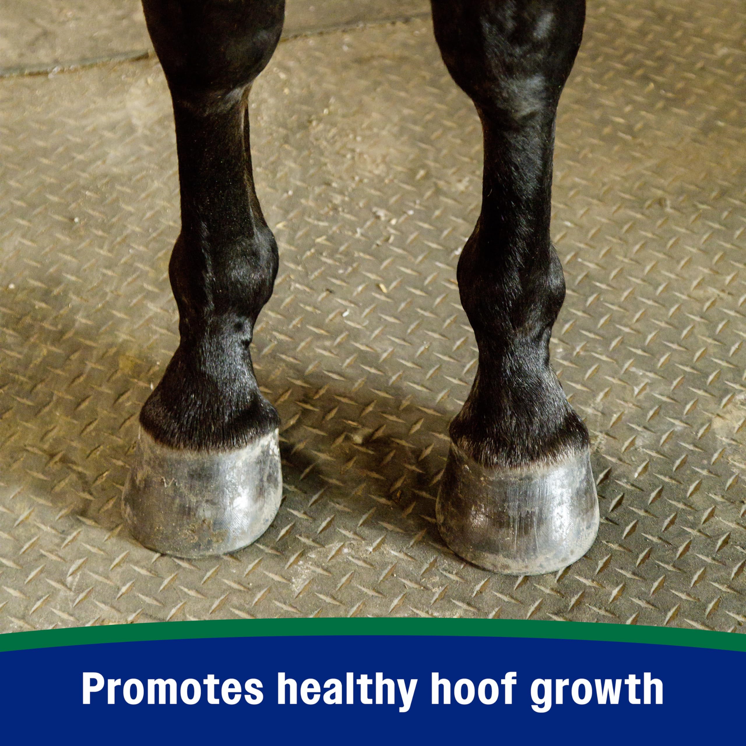 Farnam Horseshoer’s Secret bag highlights hoof wall support and essential minerals for resilience.