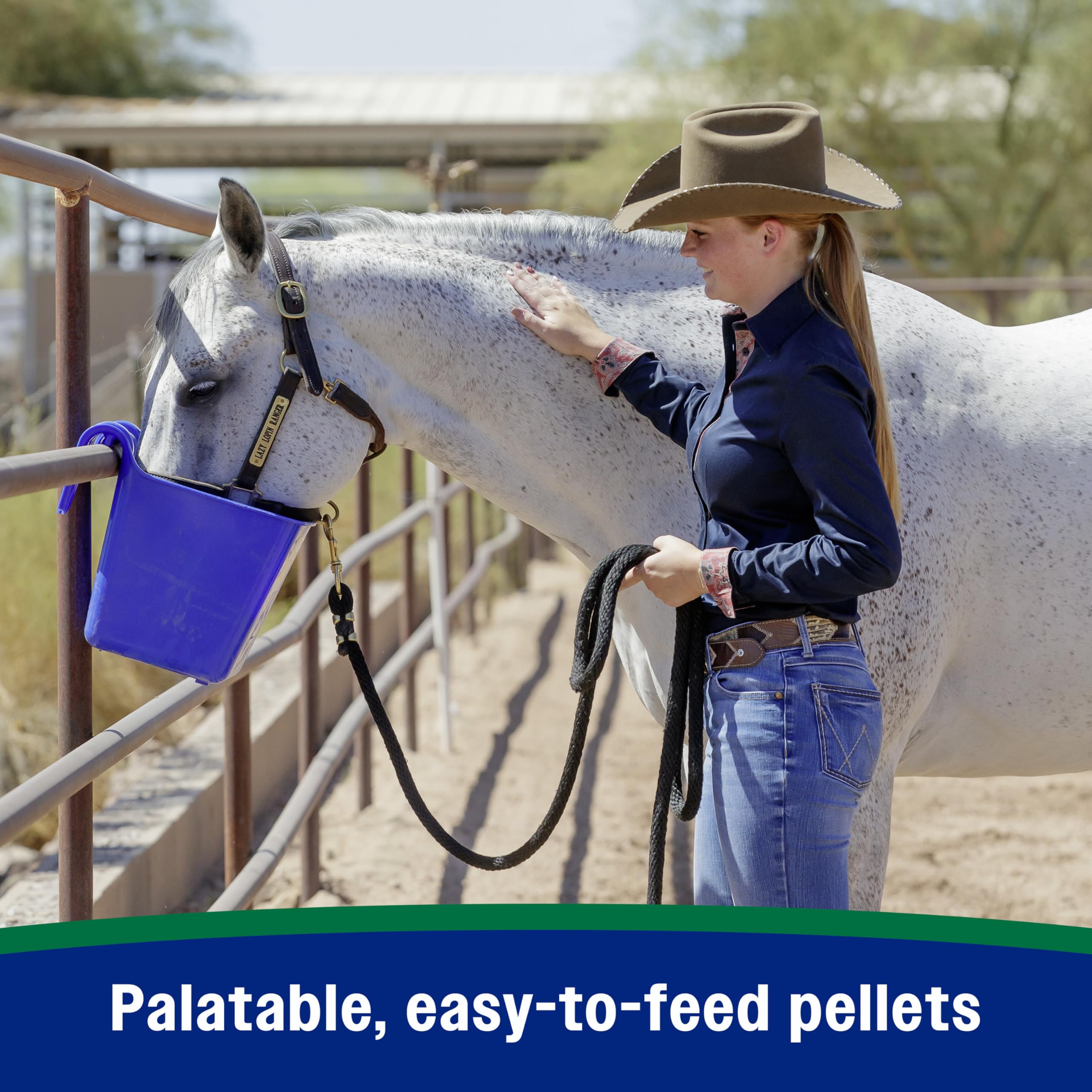 Farnam Horseshoer’s Secret omega-3-6 fatty acids support balanced hoof health and condition.
