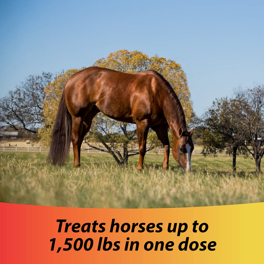 Farnam IverCare Sure-Grip syringe enables steady dosing and control during administration.