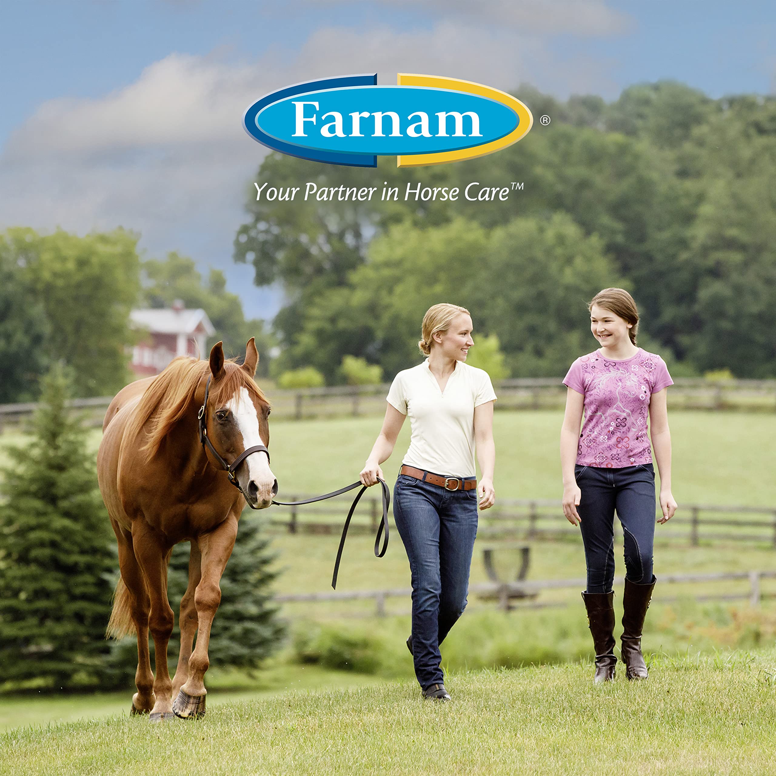 Farnam Quietex II pellets during competition for steady composure