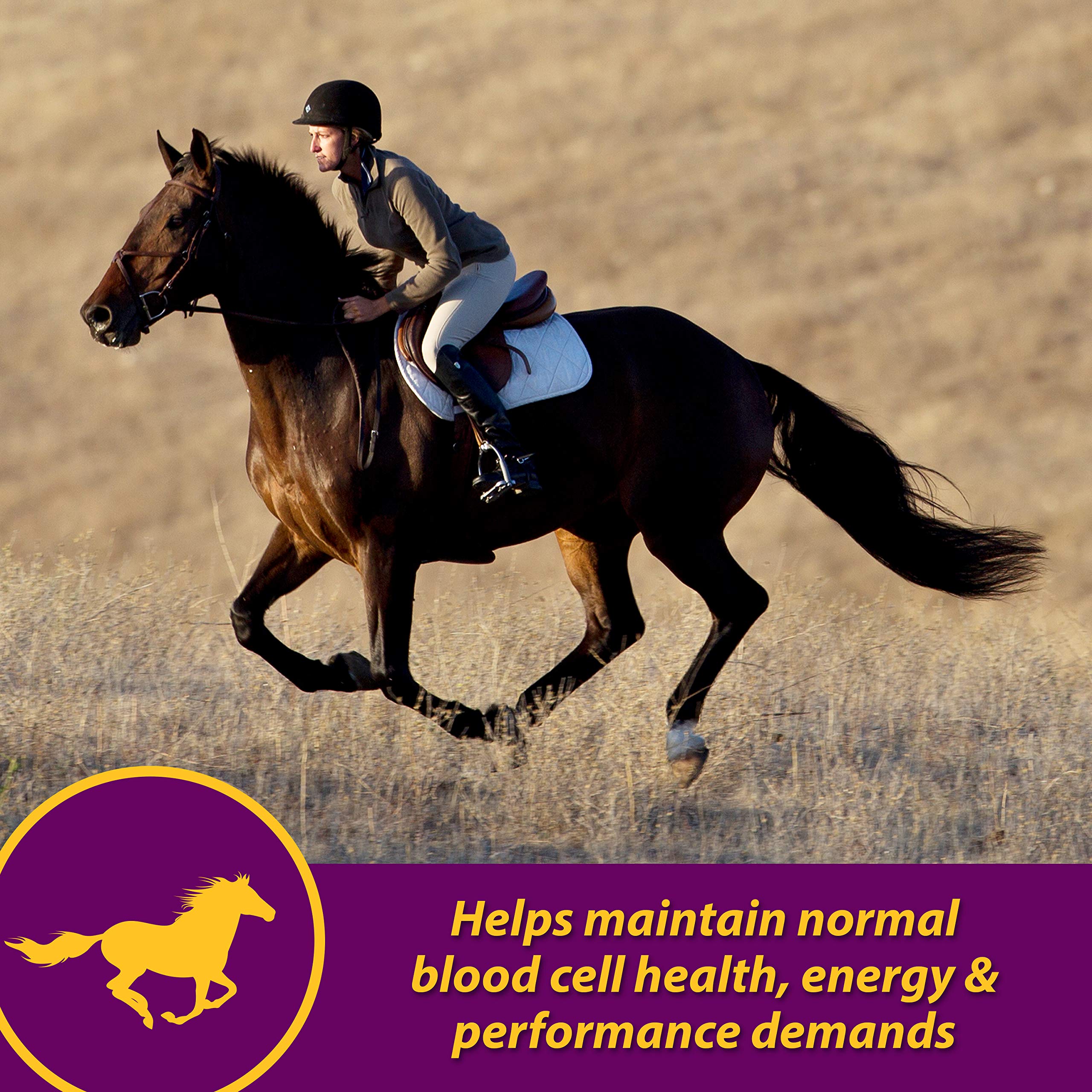 Farnam Red Cell dosing syringe enables precise feeding with iron and minerals.