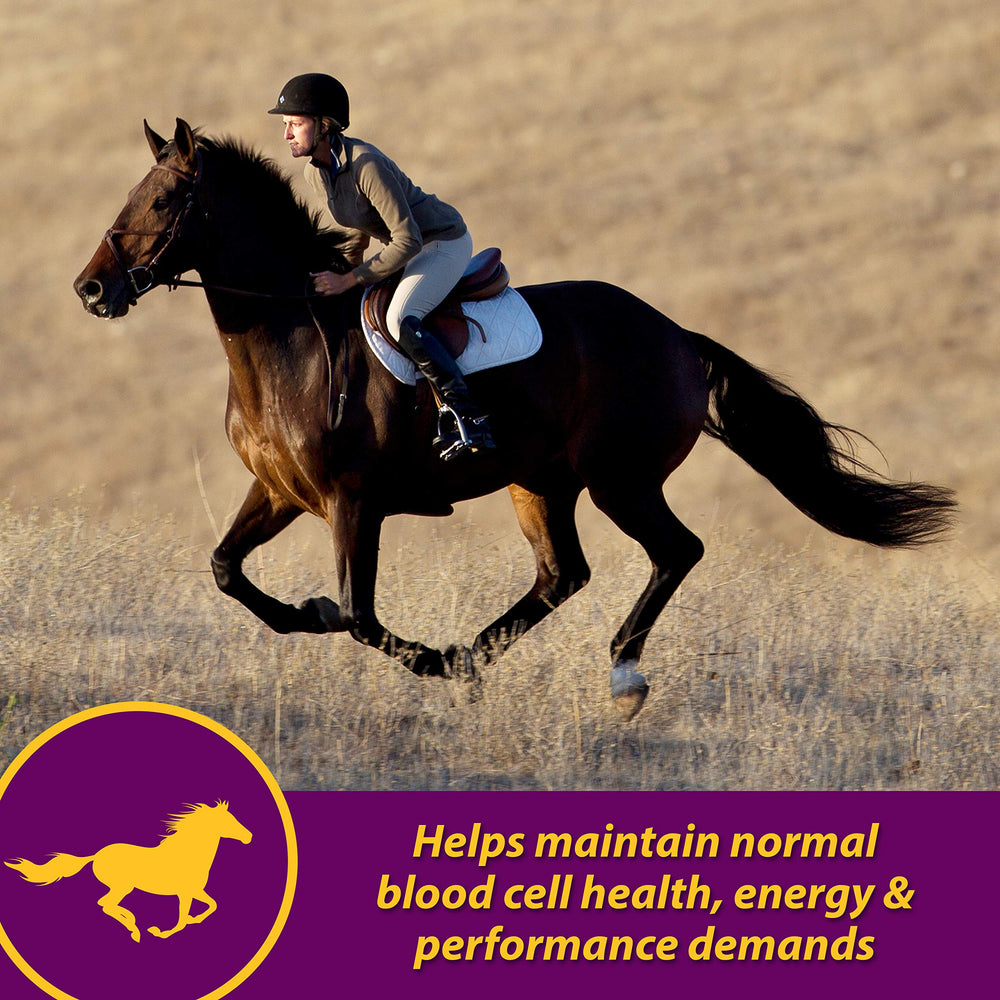 Farnam Red Cell dosing syringe enables precise feeding with iron and minerals.