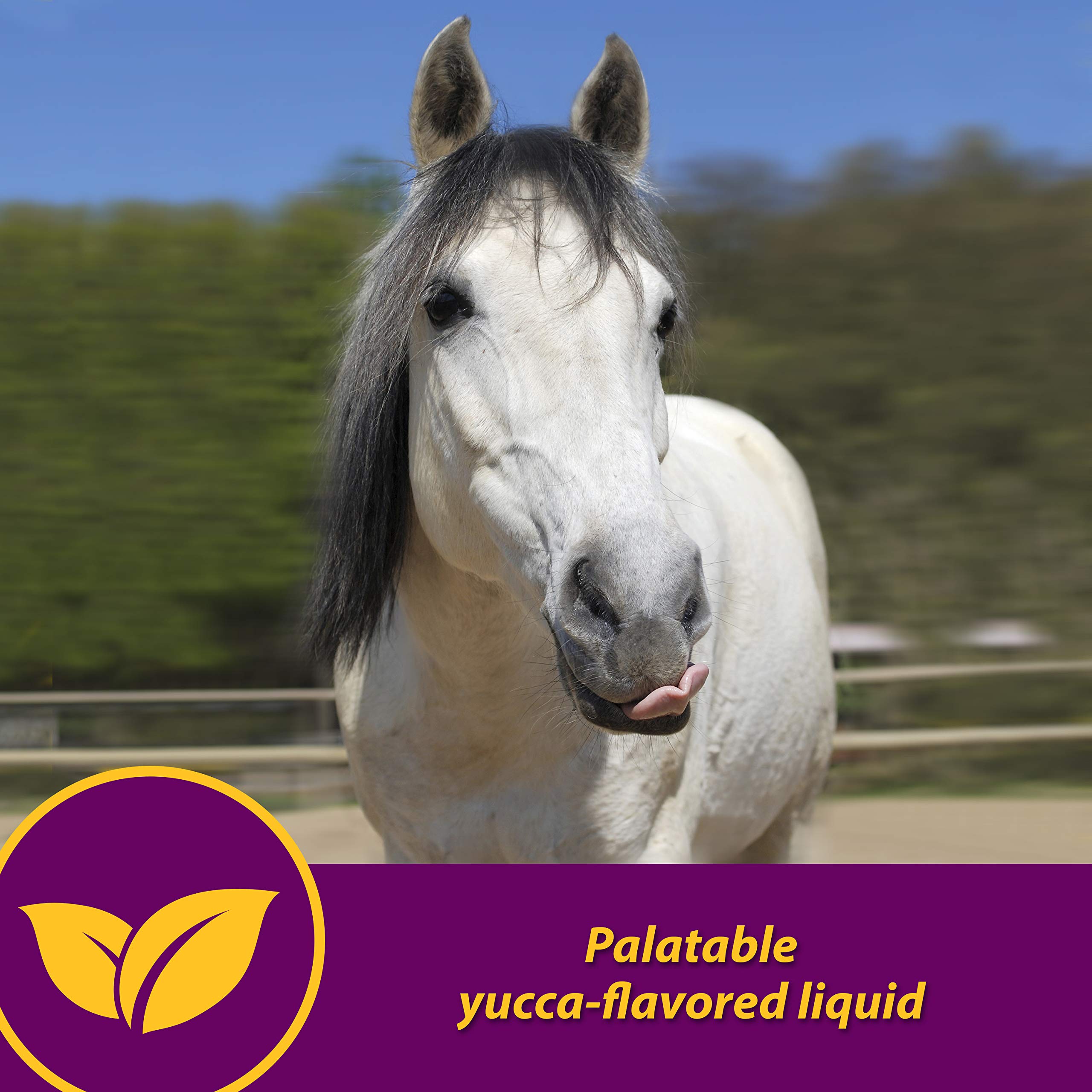 Farnam Red Cell iron-rich formula supports blood cell health.