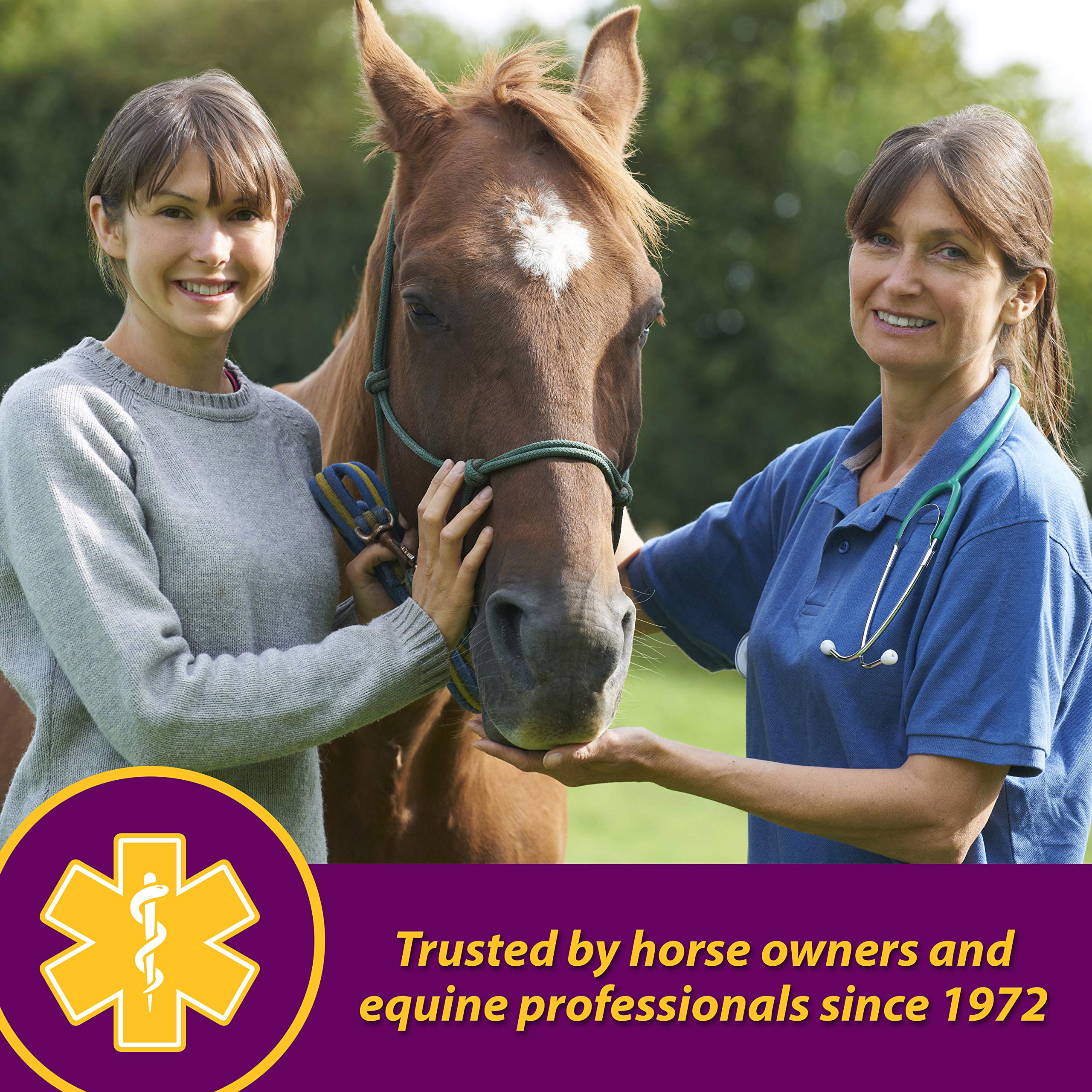 Broodmare and growing horse scenario using Farnam Red Cell Pellets.
