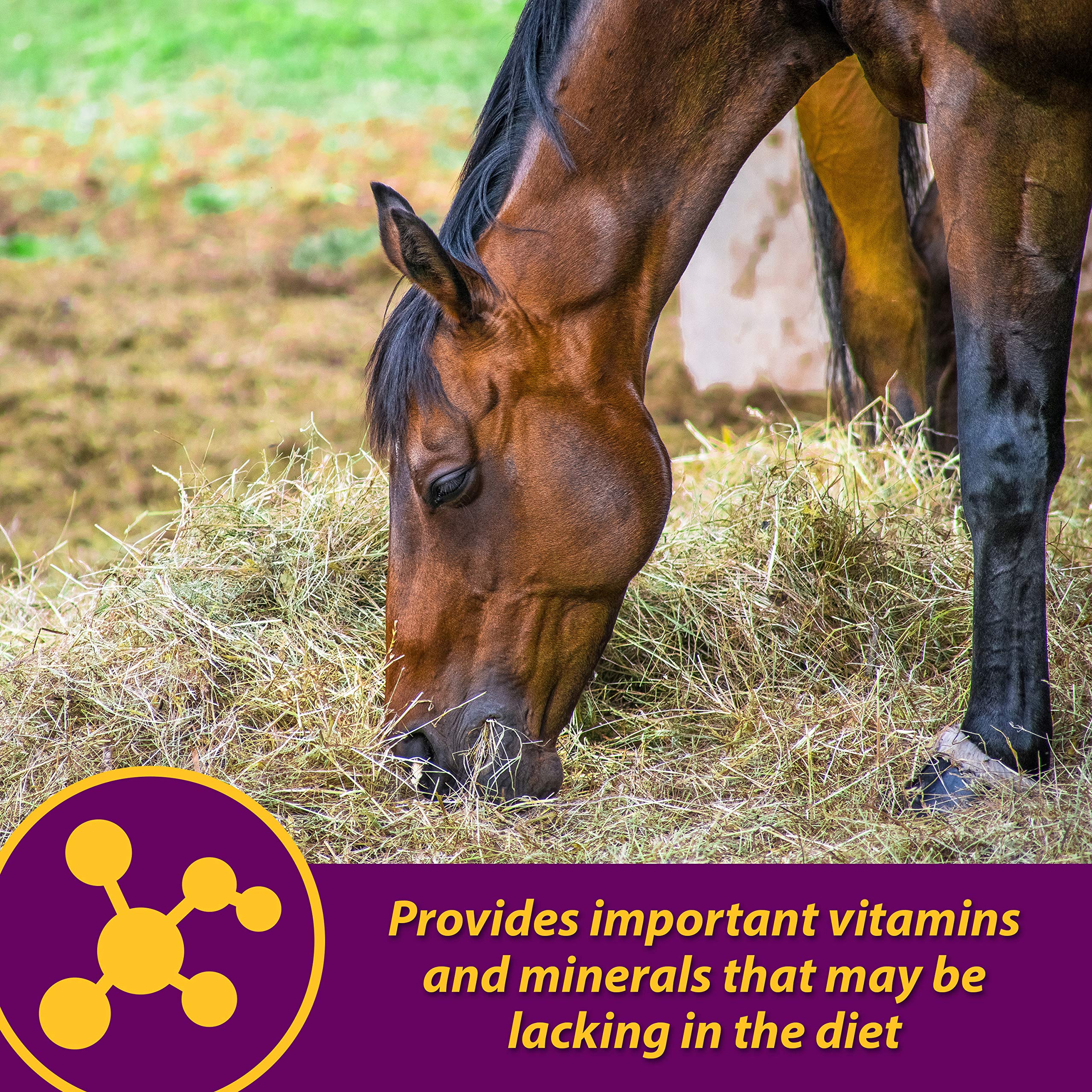 Pellets being mixed into horse feed to reduce waste.