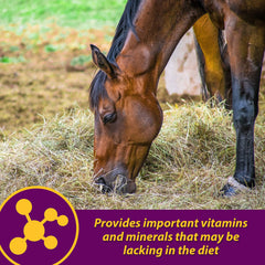 Pellets being mixed into horse feed to reduce waste.