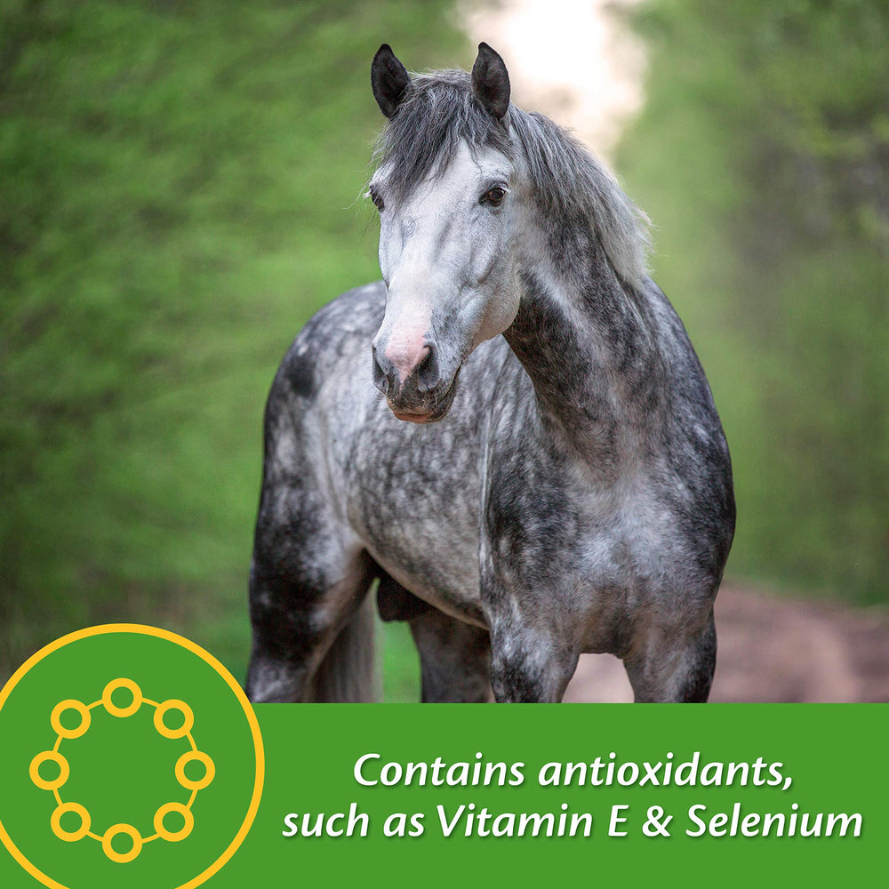 Farnam Vita Plus antioxidants image, vitamin E and selenium support cell activity