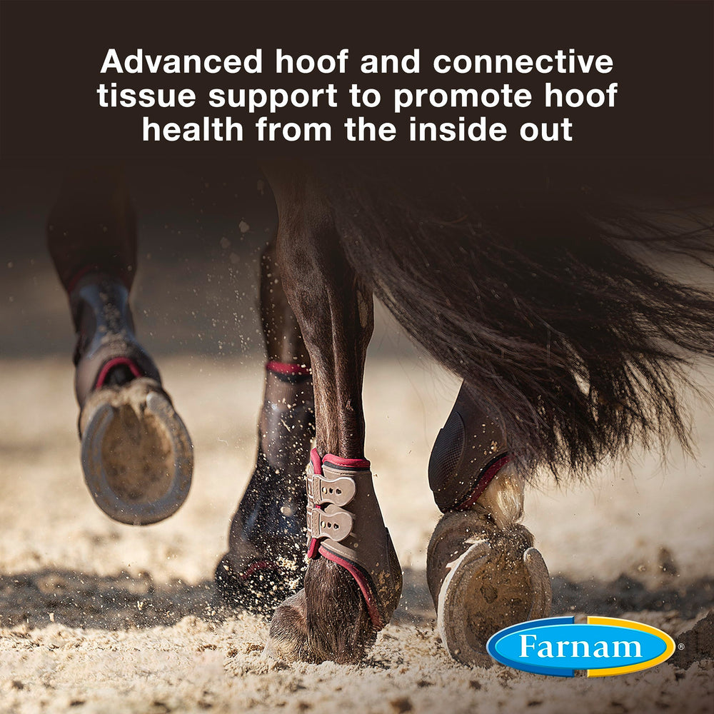 Farnam Horseshoer's Secret Extra Strength nuggets close-up for tough, flexible hooves.