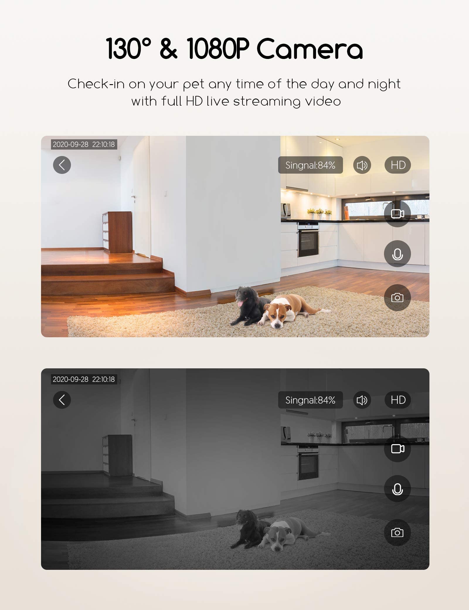 Faroro dog camera remote-toss button demonstrates quick treats during breaks.