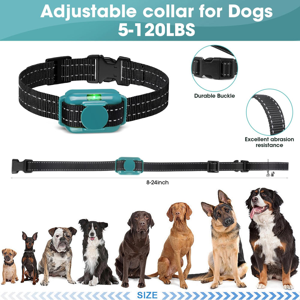 FASHILEAD dual-channel setup supports training two dogs simultaneously.