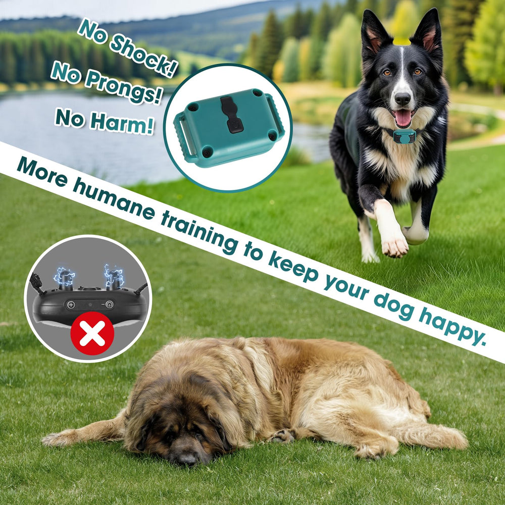 FASHILEAD training modes display, gentle beep and vibration cues.