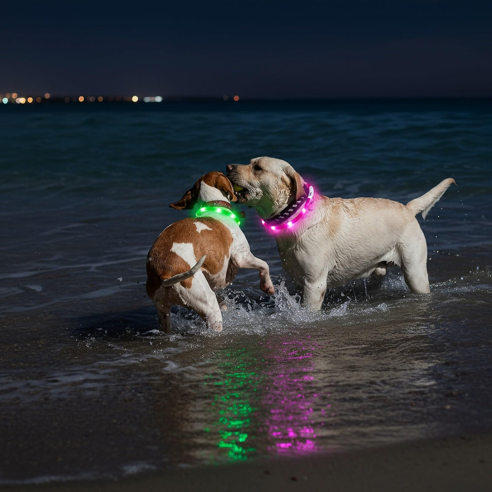 Fashion&cool Close-up LED lights highlight brightness and visibility on pets.