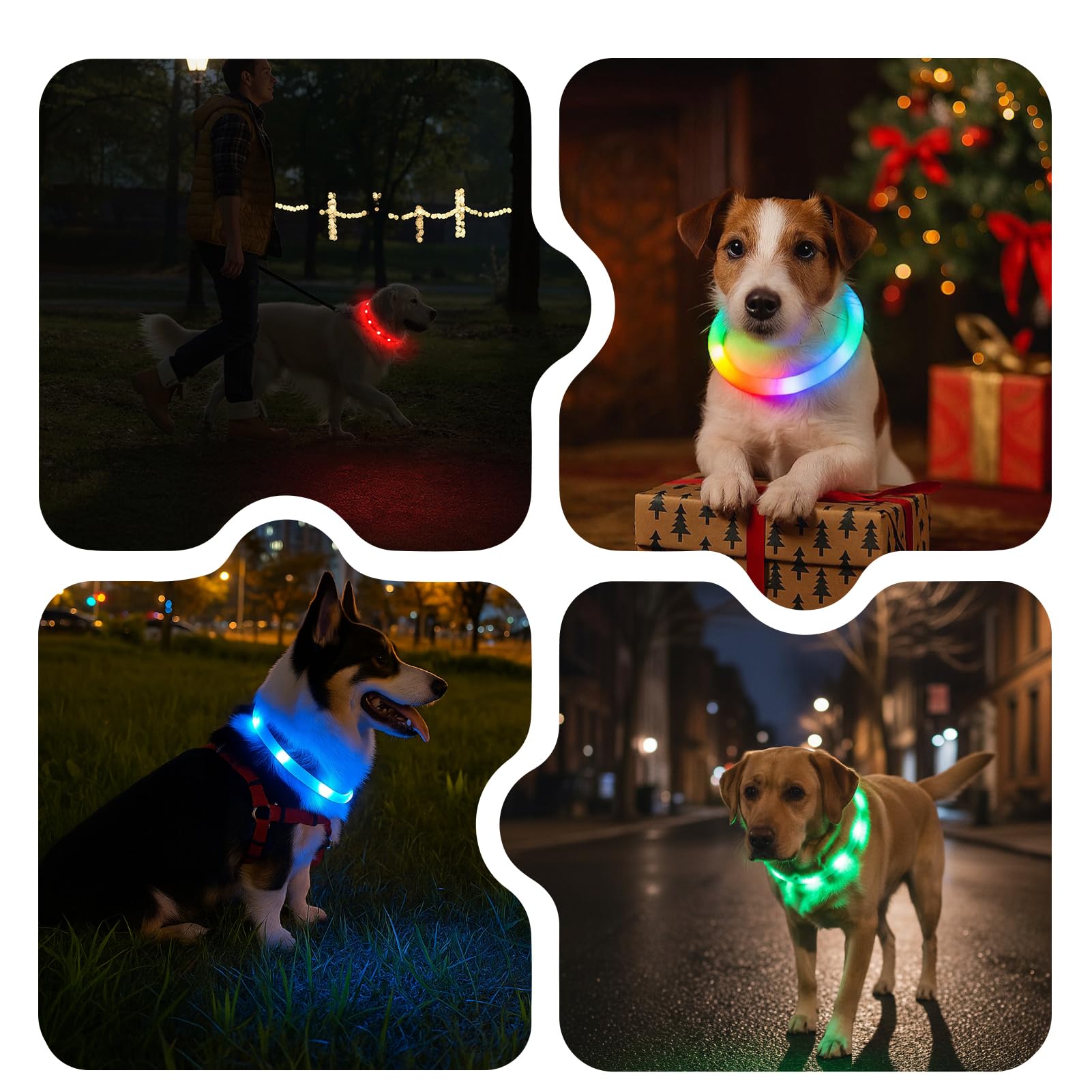 Fashion&cool Light Up Dog Collar in rain-ready water-resistant design for evening strolls.