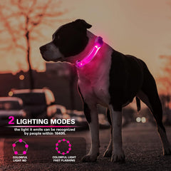 Fashionandcool LED dog light mounts on harness for flexible safety lighting.