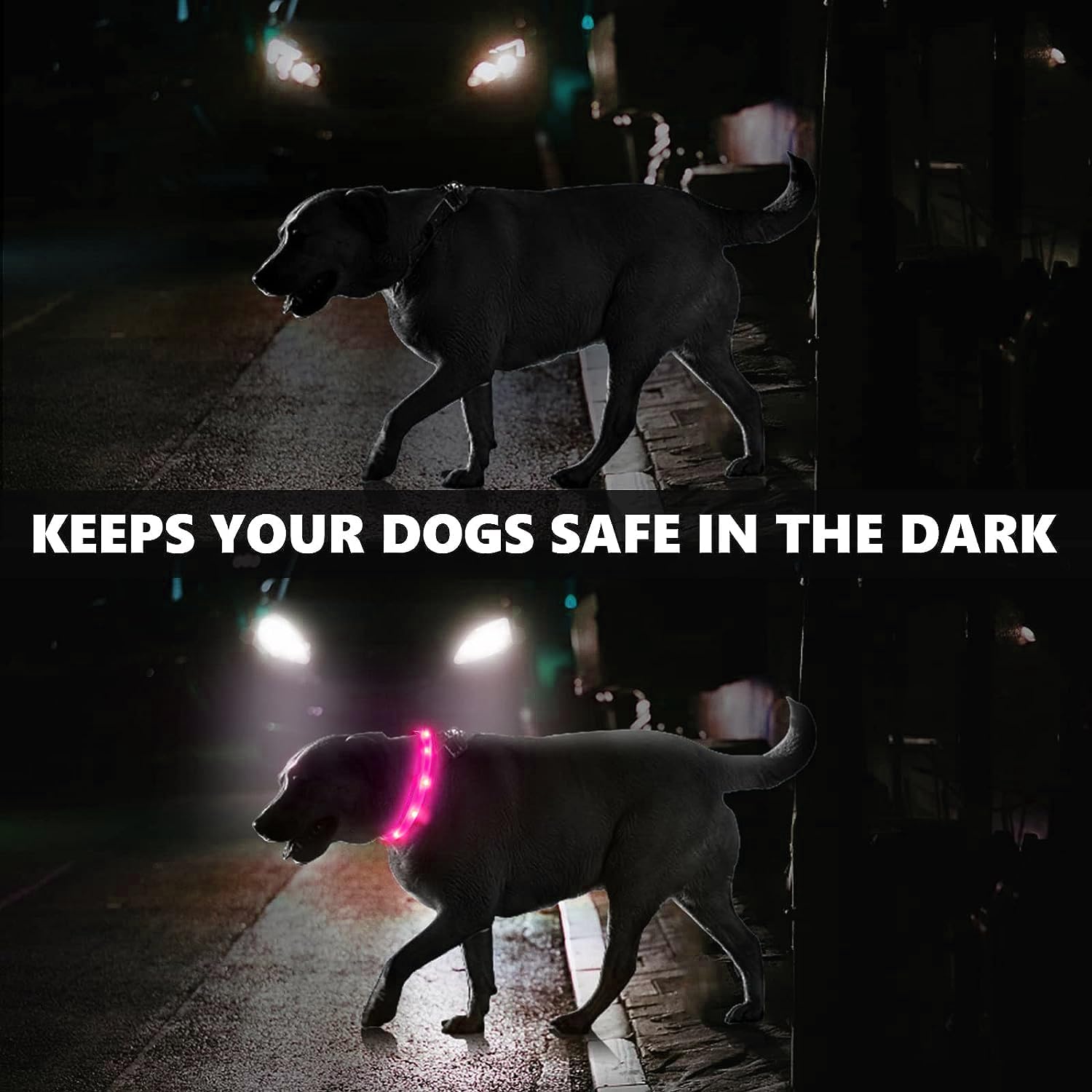 Fashion&cool three-light-modes dog collar with slow-fast flashes for different conditions