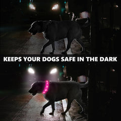 Fashion&cool three-light-modes dog collar with slow-fast flashes for different conditions